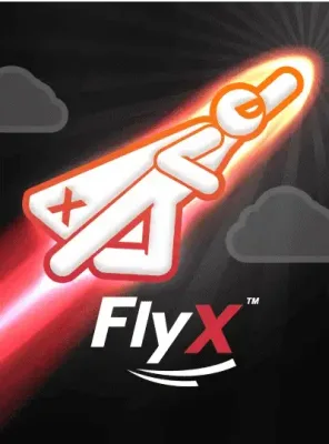 FlyX