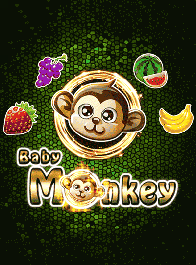 Baby Monkey