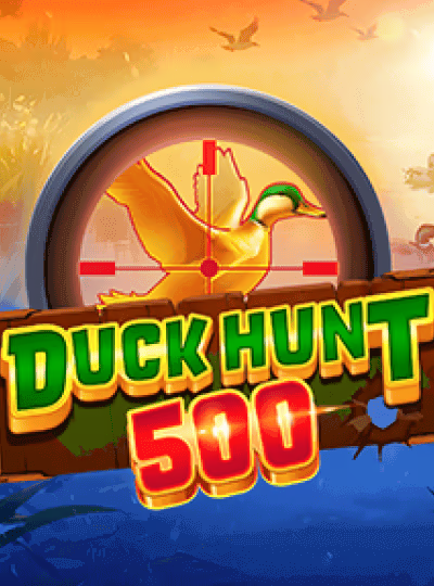 Duck Hunt 500