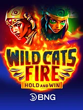 Wild Cats Fire : Hold and Win