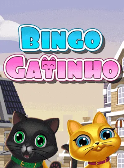 Bingo Gatinho