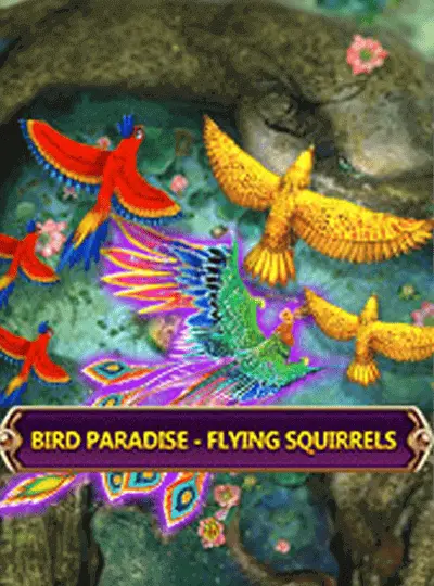Bird Paradise