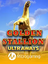 Golden Stallion