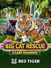 Big Cat Rescue Megaways™