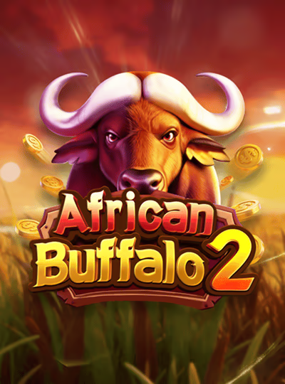 African Buffalo 2